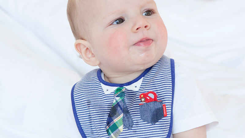 出産祝いに贈る名前入りスタイの選び方とランキングを解説